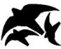 6109901 - Sticker 'Raptor', Set 1 DIN A 5, 3 Birds 120 to 225 mm, black